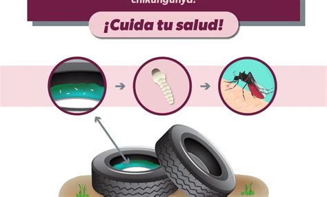 Lava Tapa Voltea Y Tira Estrategia Infalible Para Prevenir El Dengue