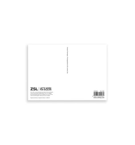 London Zoo Gifts | ZSL Shop