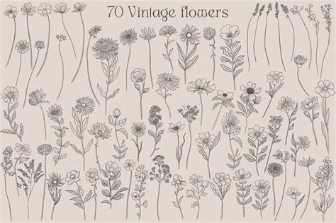 Vintage Wild Flowers Collection - Design Cuts