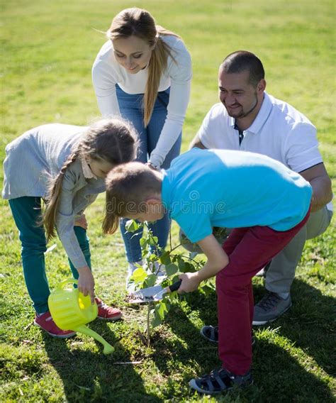 Les Parents Avec Enfants Plantent Un Arbre Dans Le Parc Au Printemps