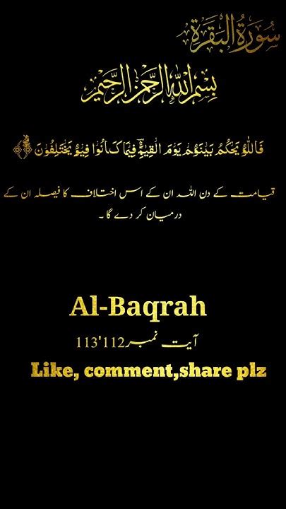 Surah Al Baqrah With Urdu Translation With Hindi Translation Youtube