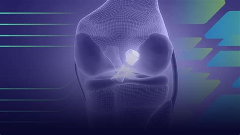 Ligamento Cruzado Posterior LCP E Fisio