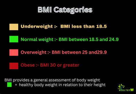 BMI Calculator » LifeHealthyGuide