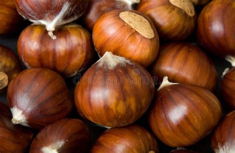 Castanhas Imagem De Stock Imagem De Fundo Empilhado