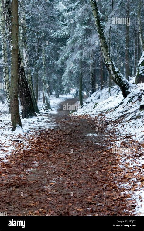 Ceske Svycarsko National Park Hi Res Stock Photography And Images Alamy