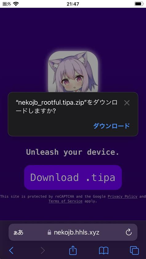 A Ios X Rootful Nekojb Dopamine Tools Hack