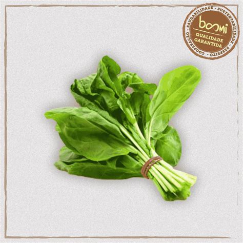 espinafre organico  maco horta verduras boomi