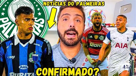 EXCLUSIVOGABIGOL LIVRE LUCHO RODRIGUEZ VEM CARLOS VINICIUS UMA BOA