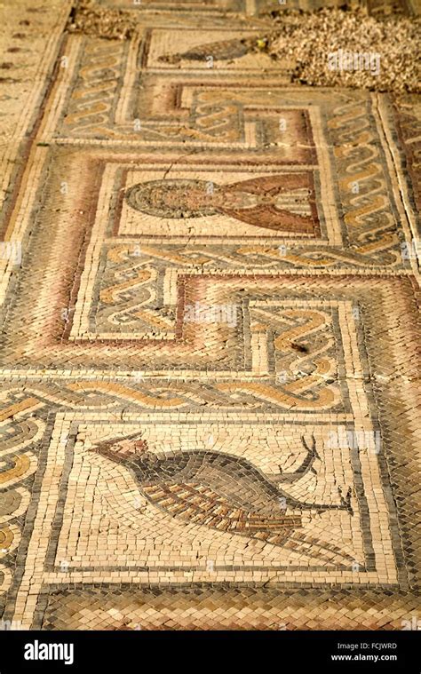 Mt Nebo Mosaics Hi Res Stock Photography And Images Alamy