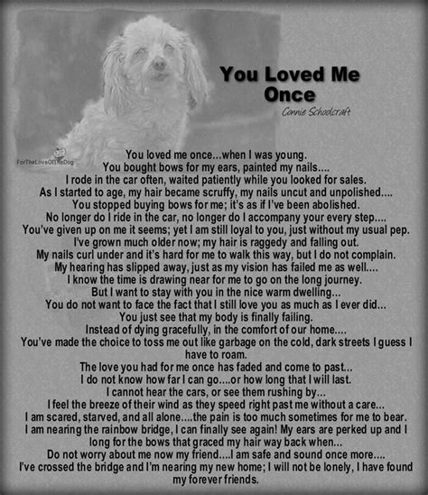 Pin by Donna Schutz on All about Pets | Dog heaven, Dog heaven quotes ...