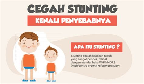 Materi Penyuluhan Stunting Di Posyandu Perumperindo Co Id