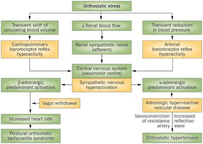 I HATE Postural Orthostatic Tachycardia : Orthostatic HYPERtension As Opposed to HYPOtension