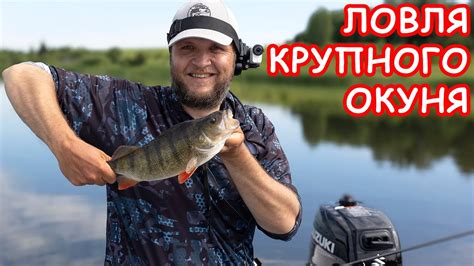 ЛОВЛЯ КРУПНОГО ОКУНЯ. ПРИМАНКИ НА ОКУНЯ. РЫБАЛКА НА СПИННИНГ - YouTube