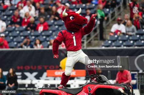 Texans Mascot Photos And Premium High Res Pictures Getty Images