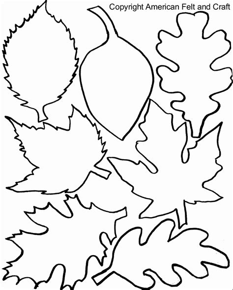 Coloring Picture Of Leaves