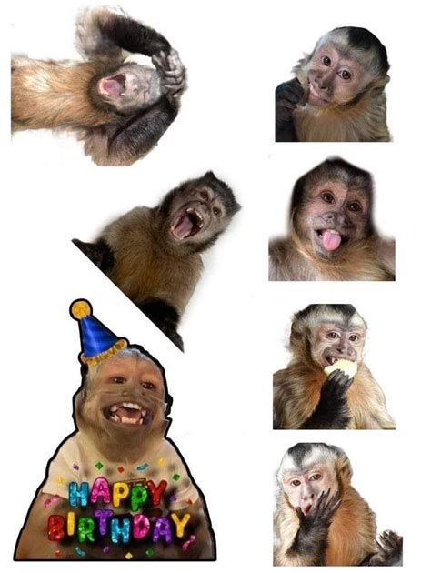 Pin By Nonamy Okashi On Imprimibles Monkeys Funny Monkey Birthday