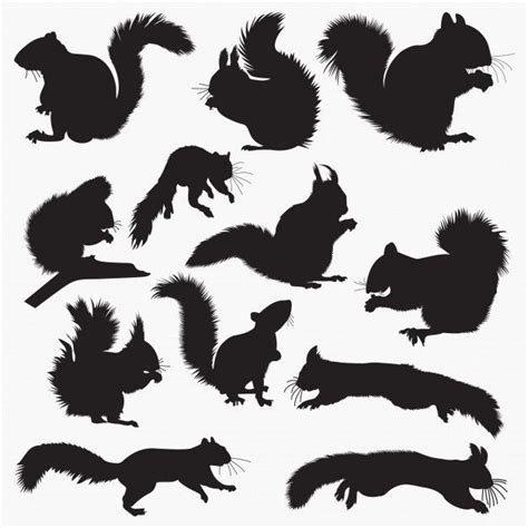 Squirrel Silhouette SVG