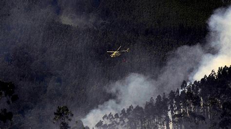 Incendios forestales han destruido más de 3 000 hectáreas en la Región