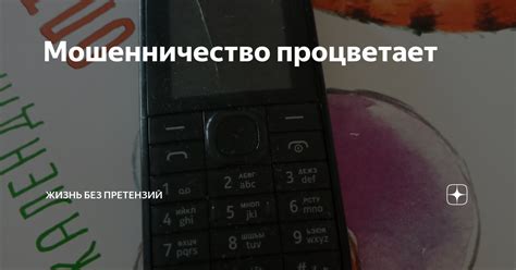 Мошенничество процветает | Жизнь без претензий | Дзен