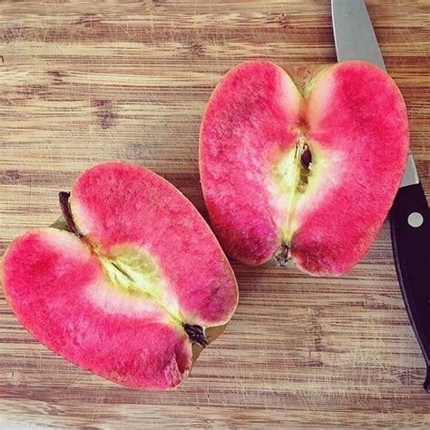 pink pearl apple gastro obscura