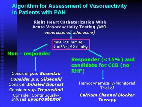 Pulmonary Hypertension Kazemi Toba M D Birjand University