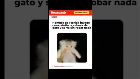 Hombre Invade Casa Y Le Corta El Pelo Al Gato Se Retira Sin Robar Nada