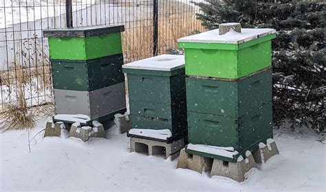 What Do Beekeepers Do In Winter Dow Gardens