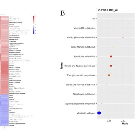 Heat Maps Of Various Metabolites Clustering A And Metabolic Pathway