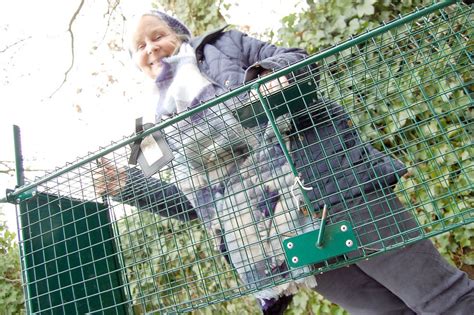 Tierschützerin hat alle Hände voll zu tun General Anzeiger