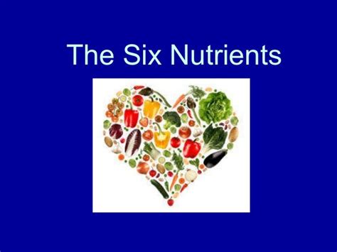 The 6 Nutrients