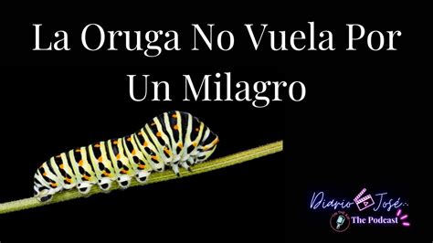 La Oruga No Vuela Por Un Milagro Masonería YouTube