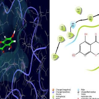 D Binding Mode Left And D Ligand Interactions Right Of Betulinic