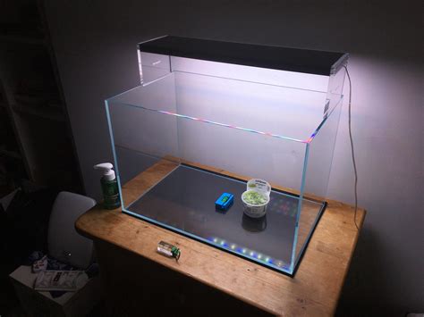 My simple planted tank : r/PlantedTank