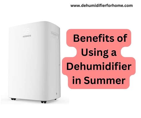 The Benefits Of Using A Dehumidifier In Summer