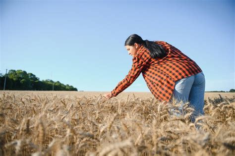 Agrónoma agricultora que trabaja en el campo de cereales y planifica