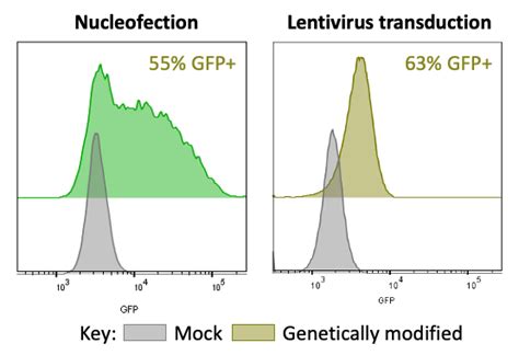 Dendritic Cell Assays For Autoimmunity And Inflammation