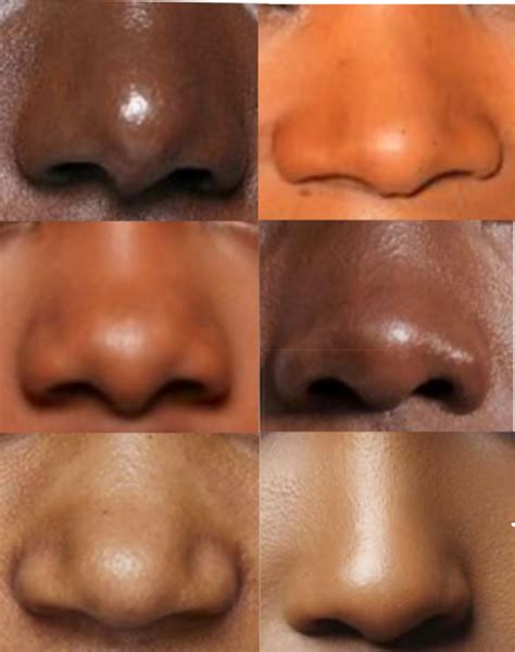 African American Nose Shapes