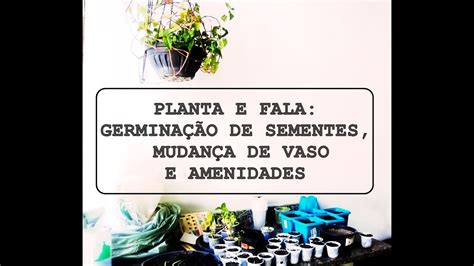 Planta e Fala Germinação de sementes mudança de vaso e amenidades