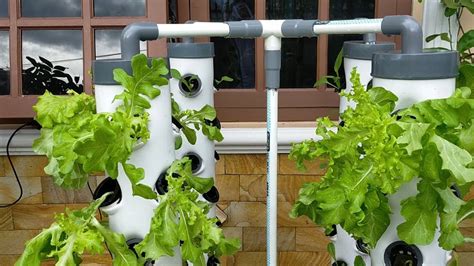 Vertical Hydroponic Gardening Systems | Fasci Garden