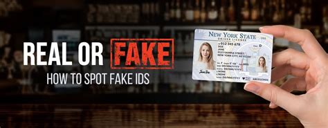 Fake Id Back Buy Scannable Fake Id Online Fake Drivers License