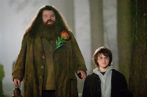 Why Hagrid Was The Best Father Figure Harry Had Wizarding World