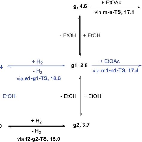 Simplified Energy Surface Determining The Kinetics Of Ester