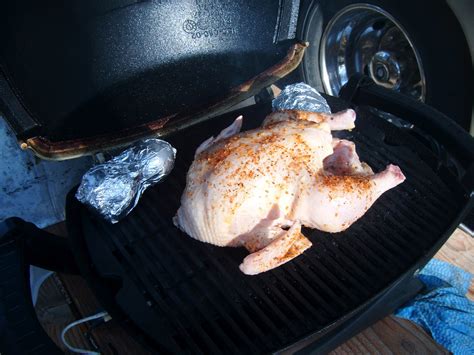 Cooking On My Weber Q 100 And Other Recipes Whole Chicken On Our Q