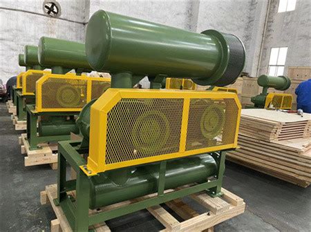 DN65 Three Lobe Roots Type Air Blower BK5003 For Water Treatment