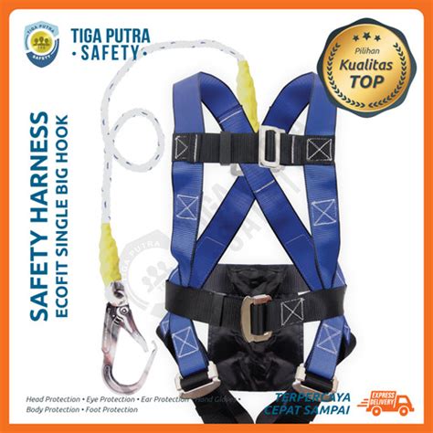 Jual Safety Harness Full Body Belt Climbing Ecofit Single Big Hook