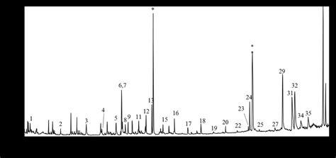 Gas Chromatogram With Mass Spectrometric Detection Of The Fraction Of A