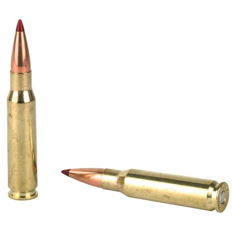 Hornady Precision Hunter Winchester Ammo Gr Eld X