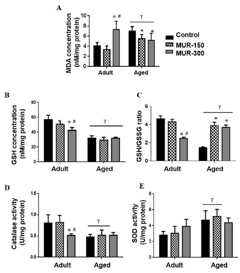 Oxidative Status Of The Cerebral Cortex Of Adult And Aged Rats