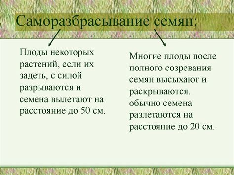 Способы распространения плодов и семян растений - презентация онлайн