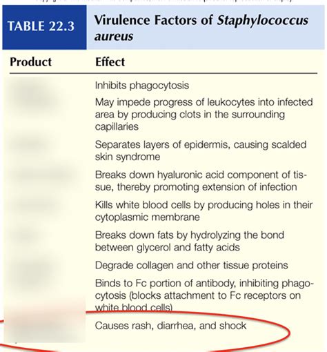 Virulence Factors Of S Aureus Diagram Quizlet